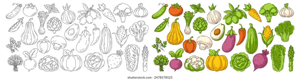 Vegetables colorful and line icons set. Farm veggies vector outline icon, monochrome and color illustration. Healthy nutrition, organic food, vegetarian product. Narrow horizontal banner, eco produce