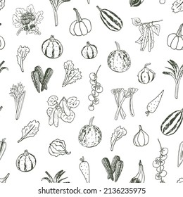 pepino de verduras, tomate, calabaza, zanahoria vectorial patrón sin costura