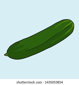 Vegetables - Cucumber vector in cartoon style with black outline
