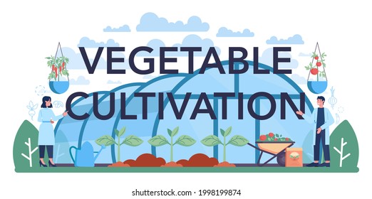 Vegetables cultivation typographic header. Idea of agriculture and farming. Organic harvest selection. Village groceries processing and preservation. Flat vector illustration