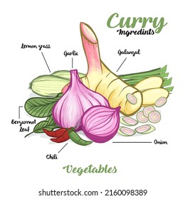 Vegetables curry ingredients, Galangal, lemongrass, garlic, onion, bergamot leaf and chili. Vector illustration.