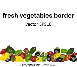 Vegetables design border isolated on white. Flat cartoon style. Vector illustration.