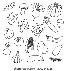 Vegetables doodle collection. Set of fresh, healthy, vegan food. Hand drawn illustration. 