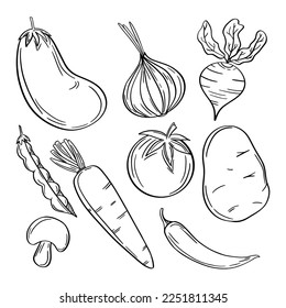 Colección de dibujo de garabatos de verduras. Dibujo manual de dibujos vectoriales en dibujos aislados en negro sobre fondo blanco.