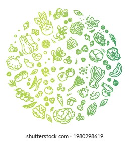 Vegetables doodle drawing collection. Vector illustration