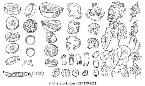 Vegetables doodle drawing collection. Vegan food such as carrots,  cucumbers, cabbage, tomato, broccoli, etc. Hand drawn sketch vector illustrations in black isolated on white. 