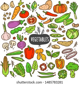 Vegetables Doodle Drawing Collection. Vegetable Such As Carrot, Corn, Ginger, Mushroom, Cucumber, Cabbage, Potato, Etc. Hand Drawn Vector Doodle Illustrations In Colorful Cartoon Style.