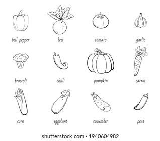 Vegetables doodle drawing collection. Vegetable such as tomato, pumpkin, carrot, corn, cucumber, broccoli, pepper, etc. Hand drawn vector doodle black illustrations isolated on white background