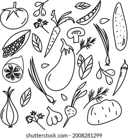 Colección de dibujo de garabatos de verduras. verduras como zanahoria, maíz, setas, pepino, papa, tomate, etc. Dibujos de doodle vectoriales dibujados a mano en negro aislado sobre fondo blanco.