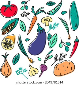 Vegetables doodle drawing collection. vegetable such as carrot, corn, mushroom, cucumber, potato, tomato etc. Hand drawn doodle illustrations in black isolated over white background.