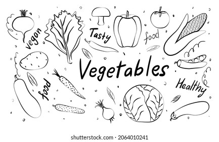 Vegetables doodle drawing collection. vegetable such as carrot, corn, mushroom, cucumber, cabbage, potato, etc. Hand drawn vector doodle illustrations in black isolated over white background.