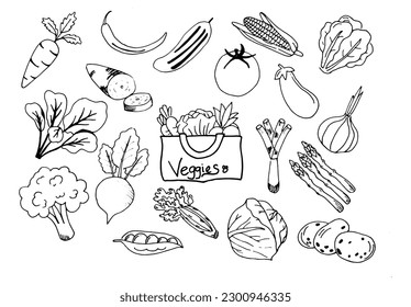 Colección de dibujo de garabatos de verduras. verduras como zanahoria, maíz, pepino, col, papa, etc. Dibujo a mano de dibujos vectoriales de doodle en negro aislado sobre fondo blanco.