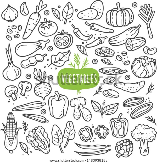 Vegetables doodle drawing collection.\
vegetable such as carrot, corn, ginger, mushroom, cucumber,\
cabbage, potato, etc. Hand drawn vector doodle illustrations in\
black isolated over white\
background.