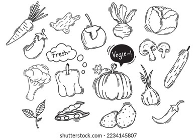 Vegetables doodle hand drawn set. Set of vegetables. vegetables vector isolated. vegetables illustration isolated. vegetable vector set.