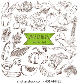 Vegetables doodle set. Big collection of elements isolated on white background. Vector hand drawn illustration. 