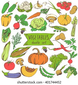 Vegetables doodle set. Big collection of eco food isolated on white background. Vector hand drawn illustration. 
