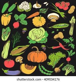 Vegetables doodle set. Big collection of healthy food isolated on black background. Vector hand drawn illustration.