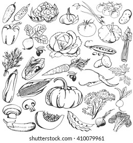 Vegetables Doodle Set Big Collection Healthy Stock Vector (Royalty Free ...