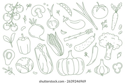 Vegetables doodle set with different fresh garden harvest organic natural food ingredients vector illustration. Healthy veggies vegetarian meal and seasoning sketch drawing design elements collection