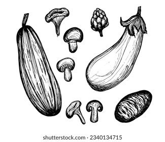 Juego de doodle de verduras, boceto dibujado a mano. berenjena, calabaza, patatas, setas aisladas en un fondo blanco.