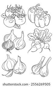 vegetables doodle set, hand drawn illustration on white background. Line drawn vegetables. Element for label design