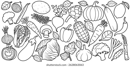 vegetables doodle set with sketch style. Hand drawn vegetable cartoon organic design elements set isolated white background.