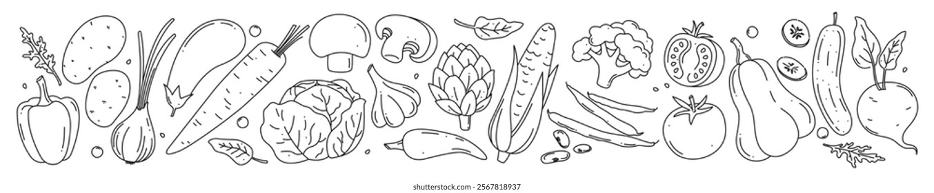 Vegetables in doodle style. Carrot, Corn, Mushroom, Cucumber, Cabbage, Potato, Garlic, Artichoke, Pepper, Eggplant, Onion, Tomato, Beet, Bean, Pumpkin. Vegetarian, farm grocery store. Vector