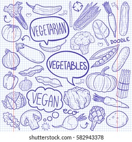 Vegetables Doodles Icon Notebook Vector Art