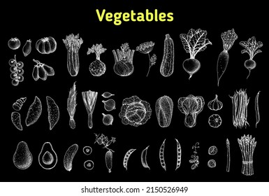 Colección de dibujo de verduras. Ilustración dibujada a mano. Afiche de comida orgánica. Esbozo pintado a mano. Buena nutrición, comida saludable. Ilustración vectorial vegetal.