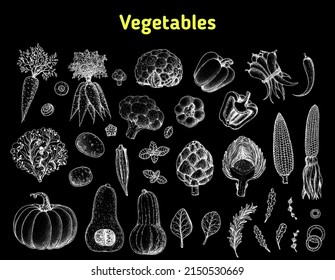 Vegetables drawing collection. Hand drawn illustration. Organic food poster. Vintage hand drawn sketch. Good nutrition, healthy food. Vegetable vector illustration.