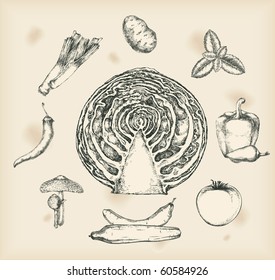 Vegetables drawings- isolated objects