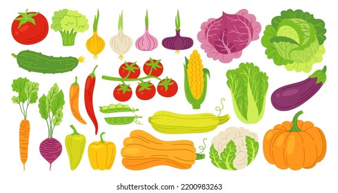 Vegetables drawn cartoon style set. Healthy diet food farm product veggies collection. Farming harvest cauliflower, tomato broccoli, cucumber, pepper carrot garlic, salad. Cooking ingredients vector