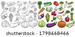 Vegetables drawn vector icons set. Illustration of colored and monochrome vegetables for design farm product, market label vegetarian shop.