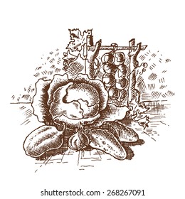 vegetables engraving