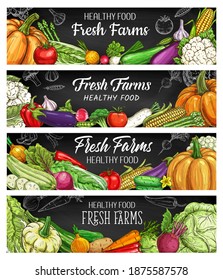 Vegetables farm food chalk sketch banners. Pumpkin, tomato and cabbage, asparagus, onion and zucchini, eggplant cauliflower and beetroot, bell and chili pepper, cucumber, kohlrabi and radish vector