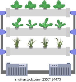 Vegetables farm in hydroponics system vector illustration, grow plant, agricultural industry, harvested vegetable