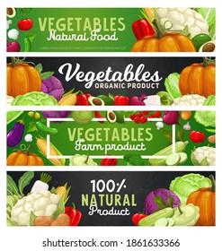 Vegetables and farm veggies, food harvest products, vector banners. Natural organic bio vegetables, vegetarian veggies food, avocado, zucchini squash and cabbage, garlic and pepper, corn and pumpkin