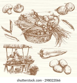 Vegetables at a farmers market, hand drawn set