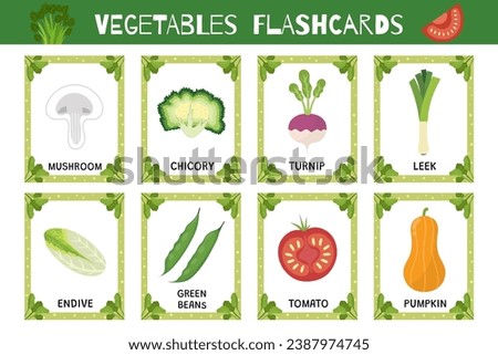 Vegetables flashcards set. Flash cards collection for school and preschool. Learn food vocabulary for kids. Pumpkin, leek, turnip and more. Vector illustration