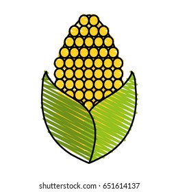 vegetables flat illustration