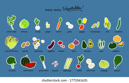vegetables flat illustration vector icon (white-background)