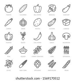 Vegetables flat line icons set. Fresh food - tomato, broccoli, corn, pepper, carrot, pumpkin vector illustrations. Outline pictogram for vegetarian grocery store. Pixel perfect. Editable Strokes