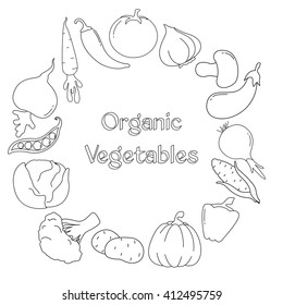 Vegetables in a flat style. Line icons. Vector illustration. Organic vegetables.  Eco food menu background. 