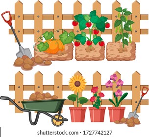 Vegetables and flowers growing in the garden illustration