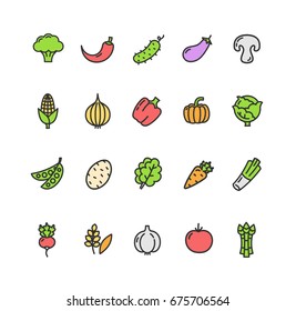 Vegetables Food Color Thin Line Icon Set Sign Carrot, Pepper, Tomato and Potato. Vector illustration