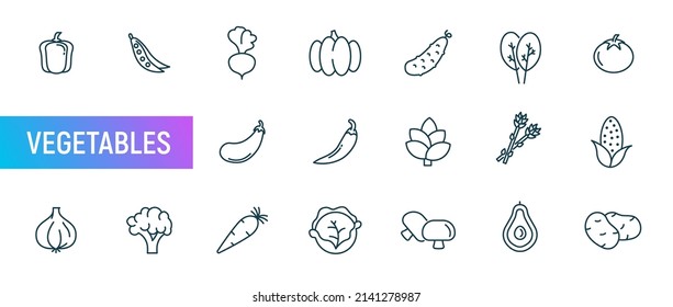 Vegetables food line vector icon. Pepper tomato outline healthy vegetable pictogram. Cucumber garlic broccoli mushroom icon