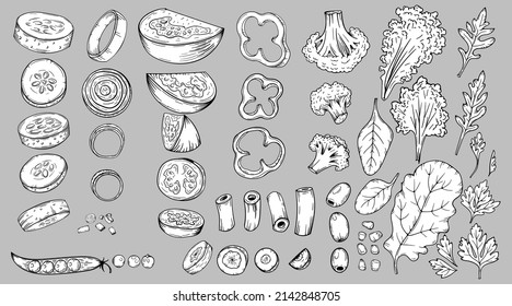 Vegetables food slices carrots,  cucumbers, cabbage, tomato, broccoli, etc. Hand drawn sketch vector illustrations in black isolated. For vegan restaurant menu. Thanksgiving recipe.