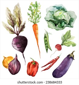 vegetables, food watercolor