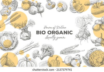 Vegetables frame: bio organic. Hand-drawn vintage sketchy illustration.