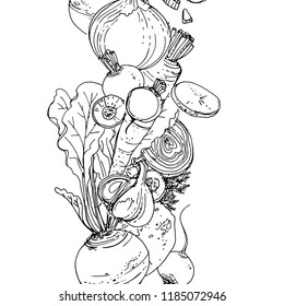Vegetables. Fresh food. Beets, radishes, carrots, onions, garlic, potatoes line drawn on a white background. Vector illustration.